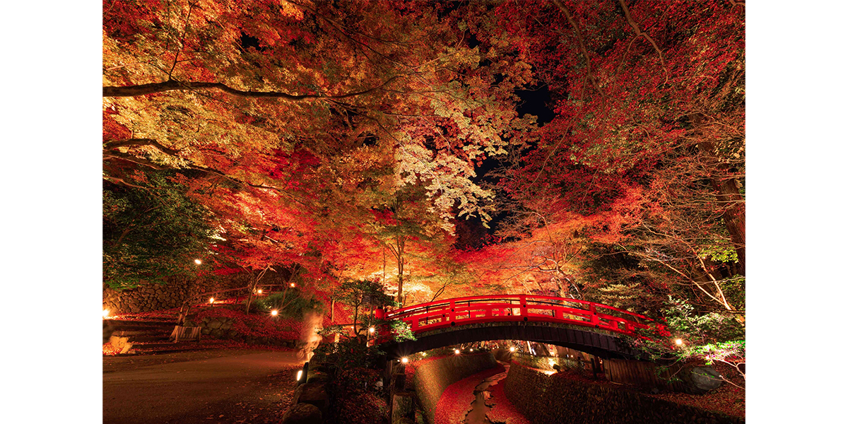 NAKED GARDEN ONE KYOTO