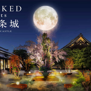 秋の京都、世界遺産・二条城で伝統と光が織りなす“観月”の夜秋の体感型アート展『NAKED meets 二条城 2025 観月』開催決定