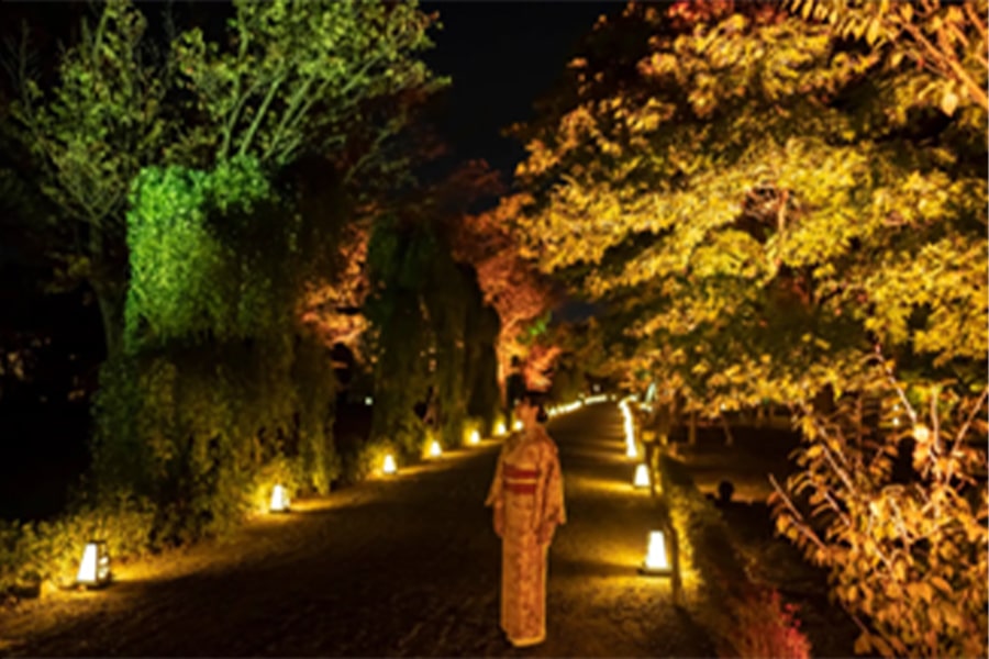 夜秋の体感型アート展『NAKED meets 二条城 2025 観月』