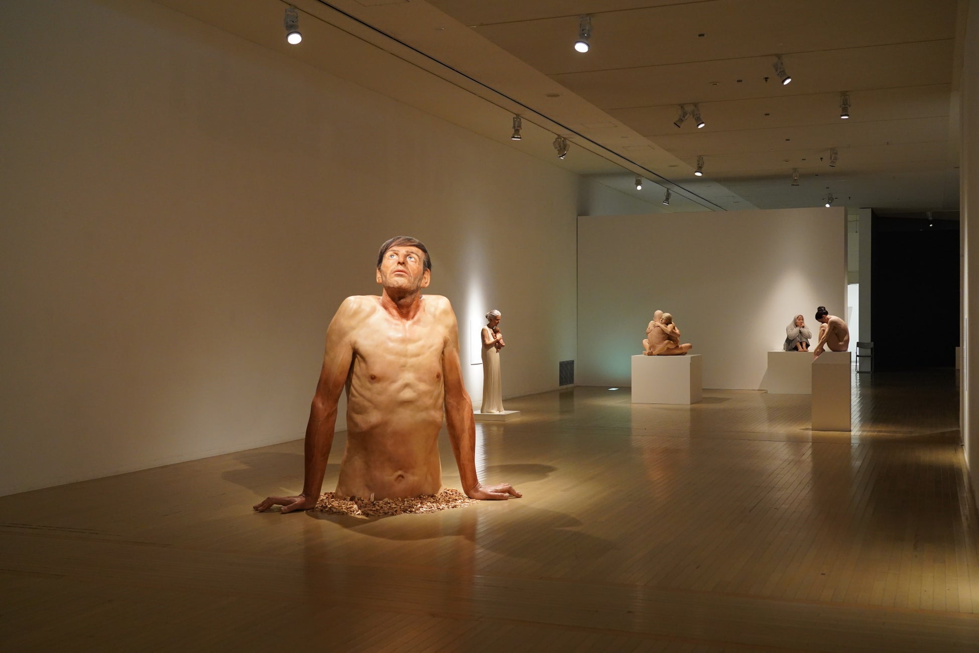 Study:大阪関西国際芸術祭 2025展覧会「リシェイプド・リアリティ」
