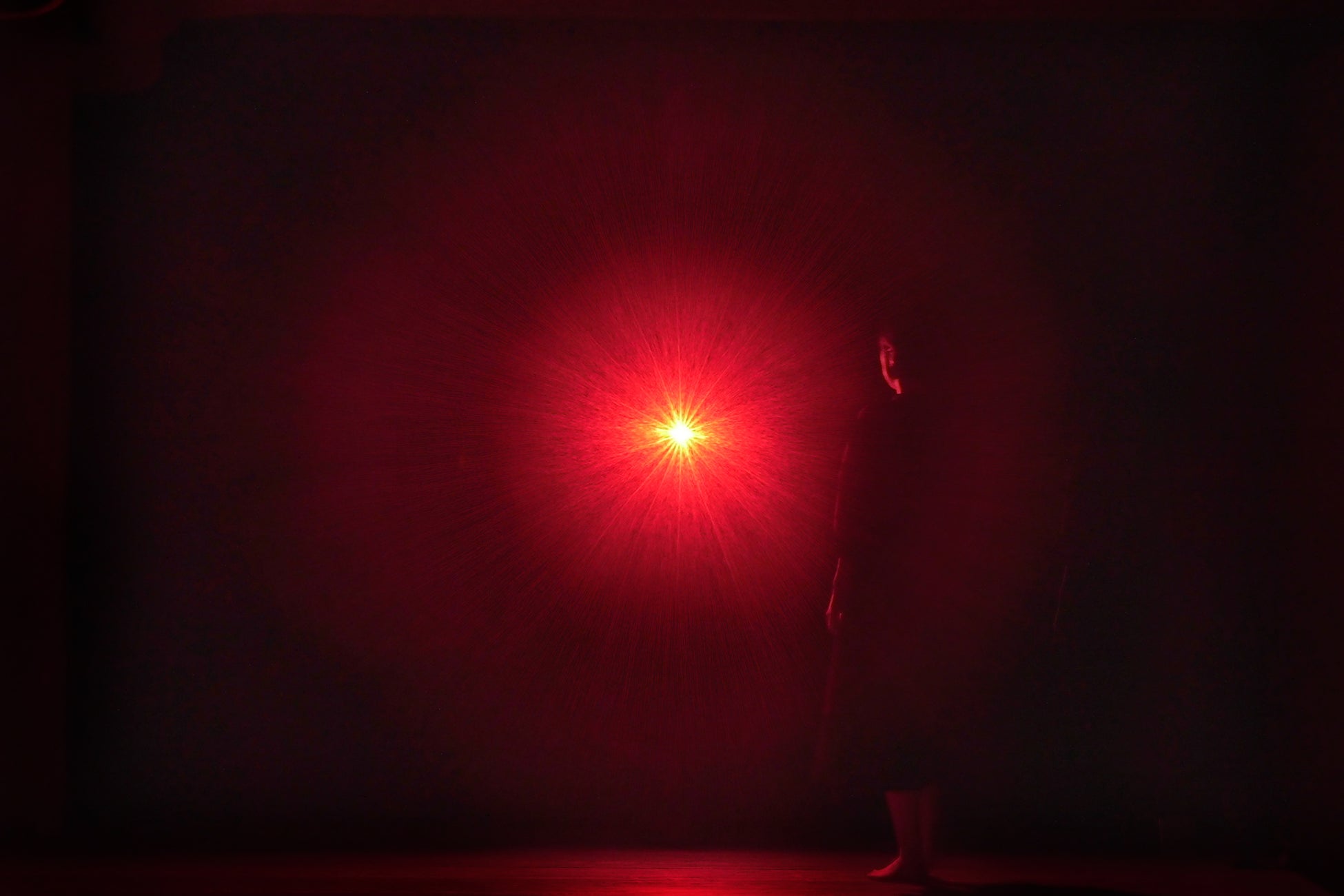 チームラボ バイオヴォルテックス 京都「我々の中にある火花 / Cognitive Solidified Spark」