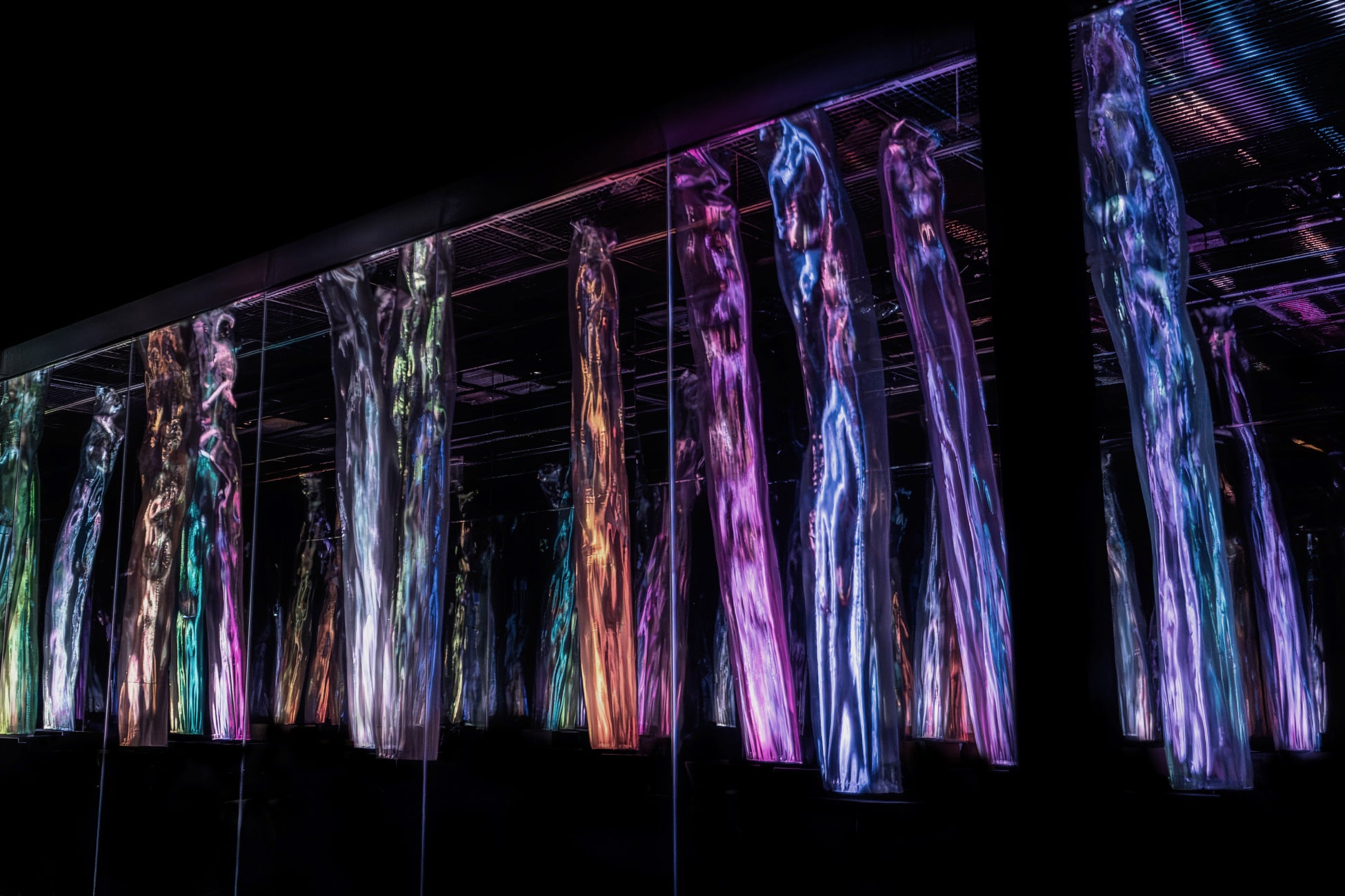 チームラボ バイオヴォルテックス 京都「Forest of Flow and Light」