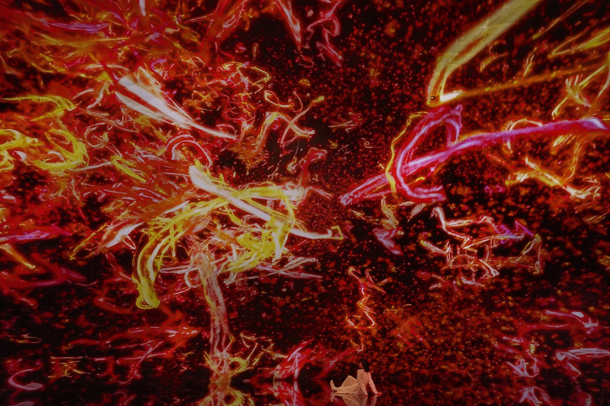 チームラボ バイオヴォルテックス 京都「The Eternal Universe of Words」