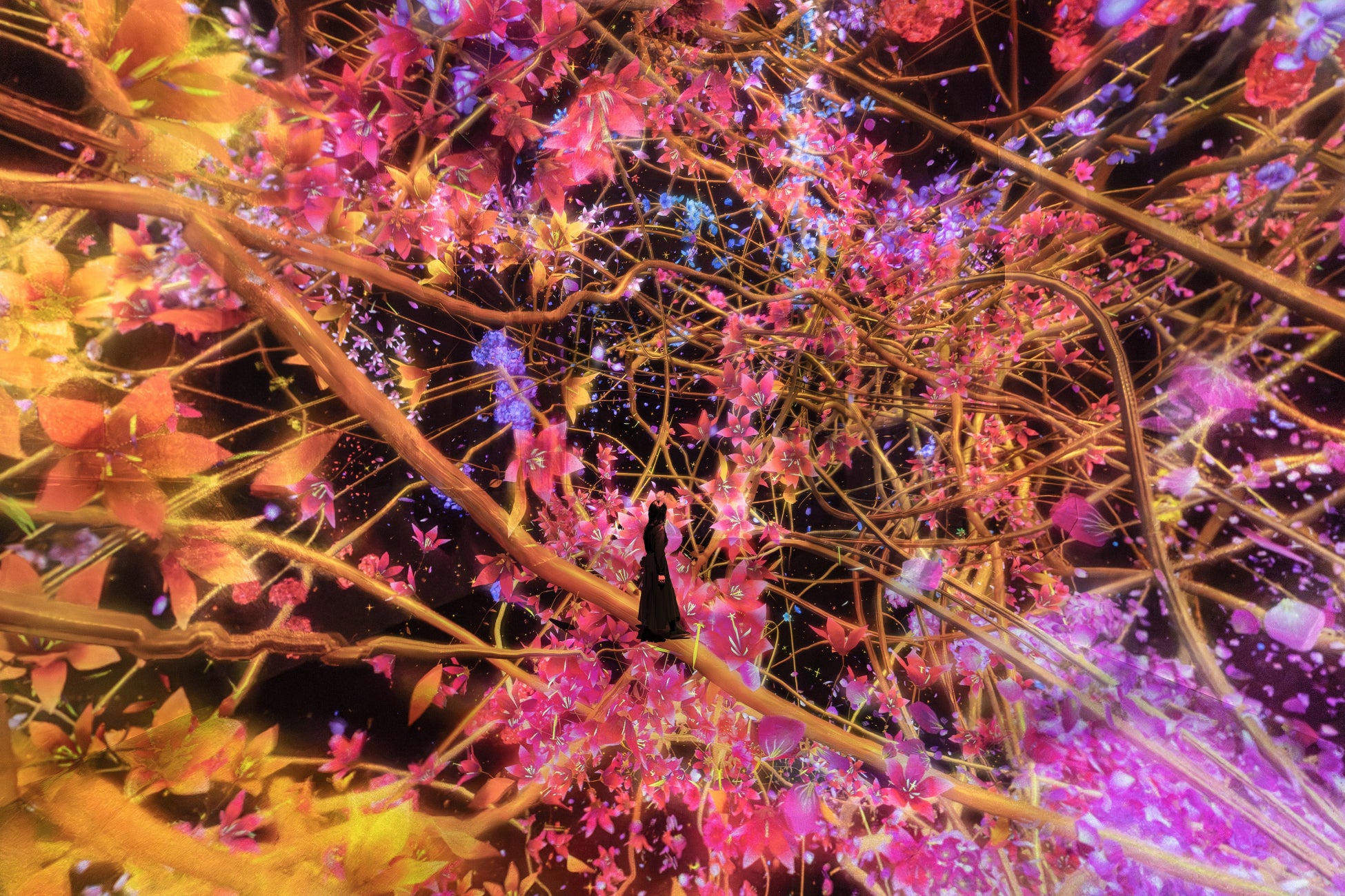 チームラボ バイオヴォルテックス 京都「Traces of Life」