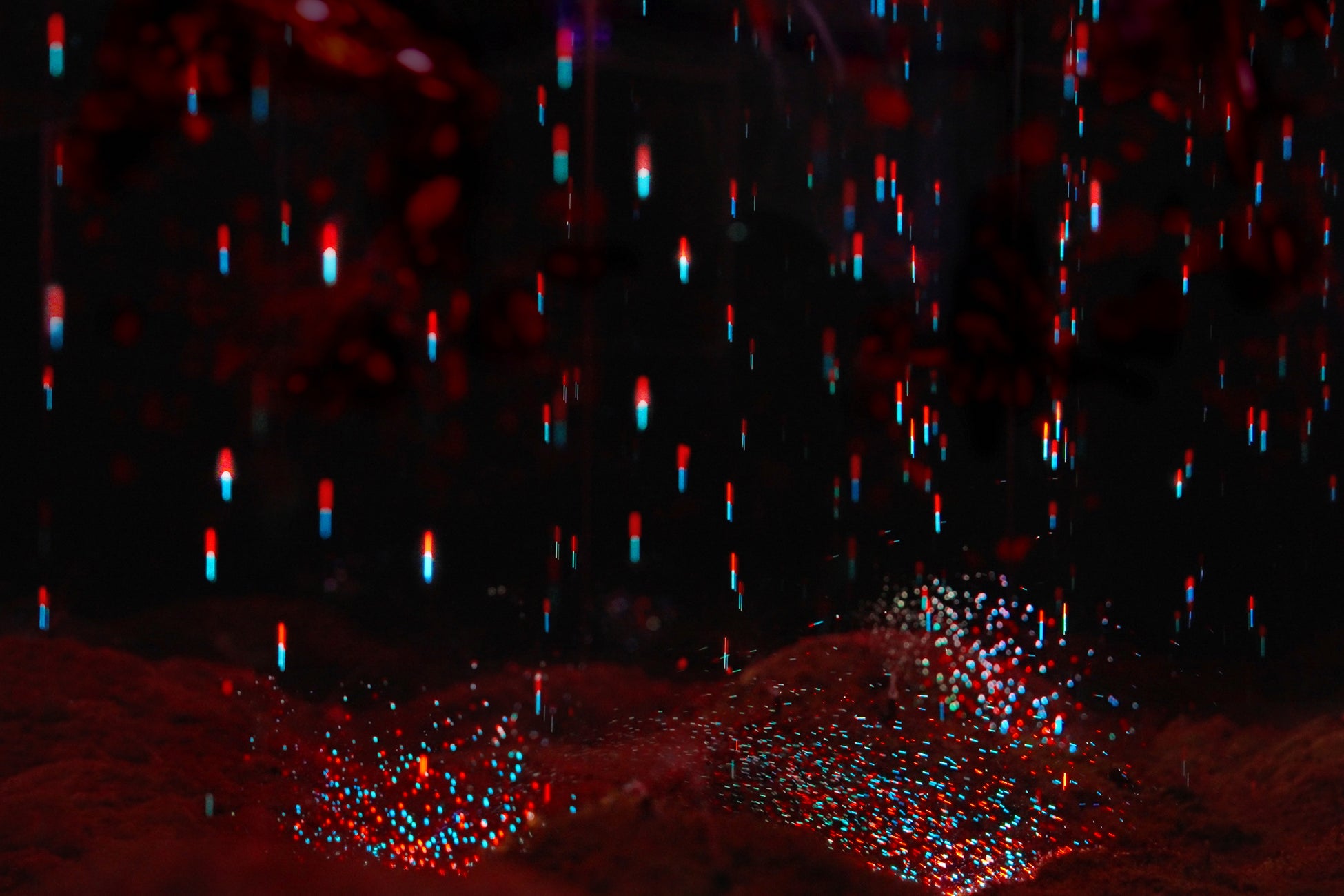 チームラボ バイオヴォルテックス 京都「雨の儚い結晶」