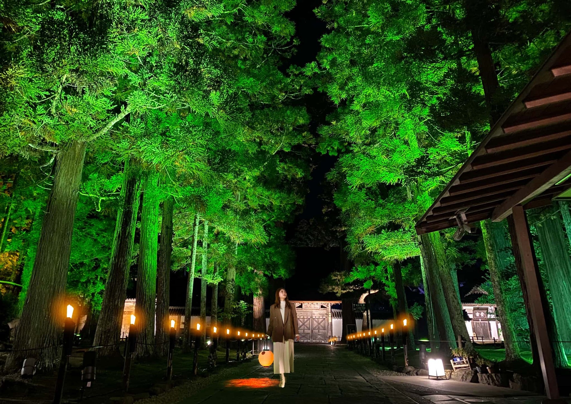 国宝・瑞巌寺境内&本堂(国宝)前庭ライトアップ